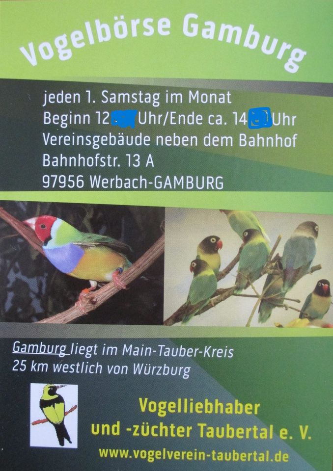 Vogelbörse Gamburg/Sa. 1. Juni 2024 in Werbach