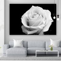Aluminiumbild gebürstet Weiße Rose auf schwarzem Hintergrund 100 Baden-Württemberg - Bisingen Vorschau
