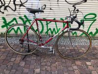 Olmo La Biciclissima Competition C Rennrad Campagnolo Super Recor Baden-Württemberg - Konstanz Vorschau