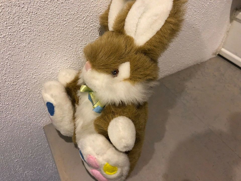 Schöner Hase Osterhase mit bunten Füßen *TOP* in Sankt Wolfgang