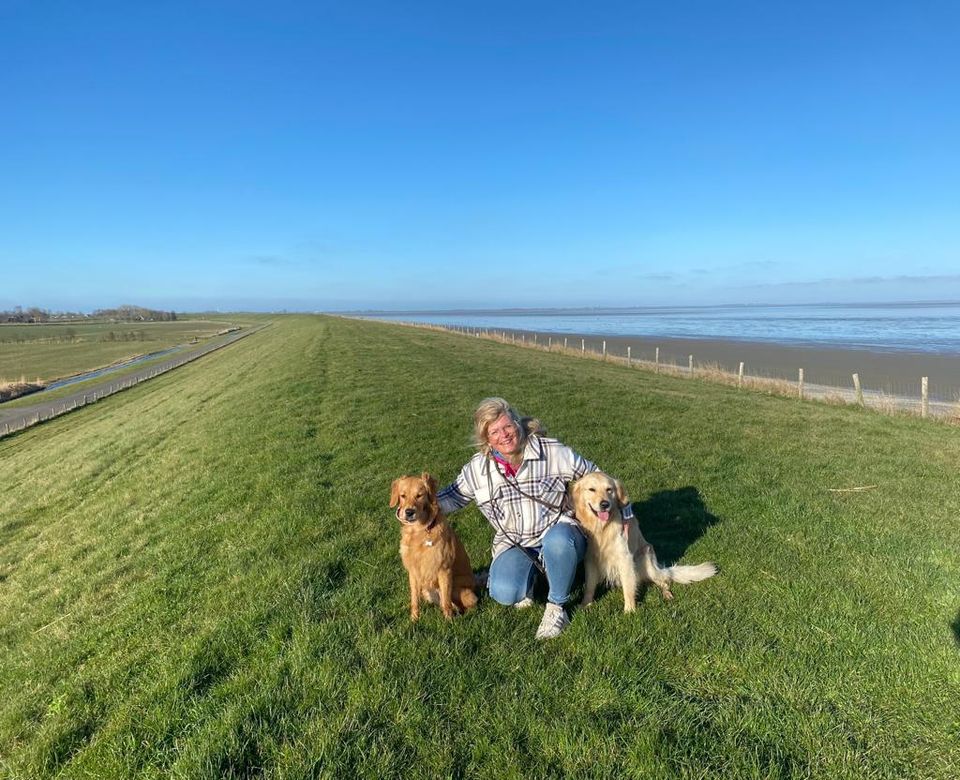 30.8-2.9 / 12.9-20.9 Hund Julianadorp Angeln Ferienhaus direkt am Meer mit Meerblick Nordsee Holland eingezäunt Niederlande in Warburg