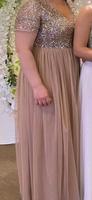 Altrosa Kleid Tüll Glitzer 4xl Bayern - Sulzbach-Rosenberg Vorschau