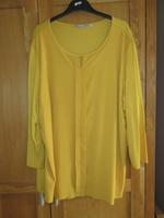 Blusenshirt in senffarben von Rabe, Gr. 46 Brandenburg - Luckenwalde Vorschau