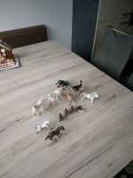 Schleich Bayala Einhorn Dinosaurier Meereseinhorn Pferd Pony Lama Nordrhein-Westfalen - Alsdorf Vorschau