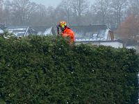 Gartenpflege Nordrhein-Westfalen - Netphen Vorschau