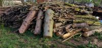 Brennholz zu verkaufen Brandenburg - Drebkau Vorschau