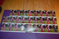 FC Bayern München Autogramm Karten Sammlung Saison 2014 / 15 Niedersachsen - Nordhorn Vorschau