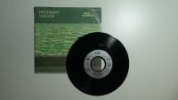 Vinyl-Schallplatte Single EP Mike Oldfield - Moonlight Shadow 17" Nordrhein-Westfalen - Herne Vorschau