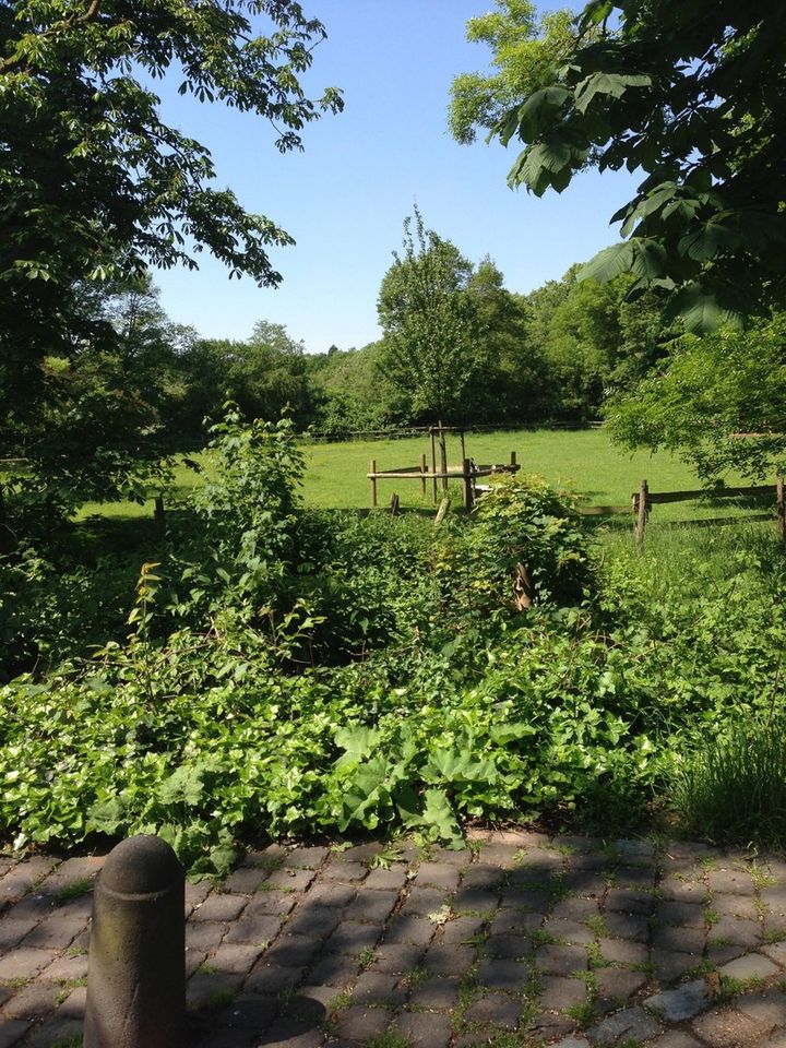 Freistehendes Einfamilienhaus - Garage, Garten, Balkon, Lage in Neuss