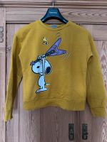 Sweatshirt Snoopy Peanuts Benetton Dresden - Neustadt Vorschau