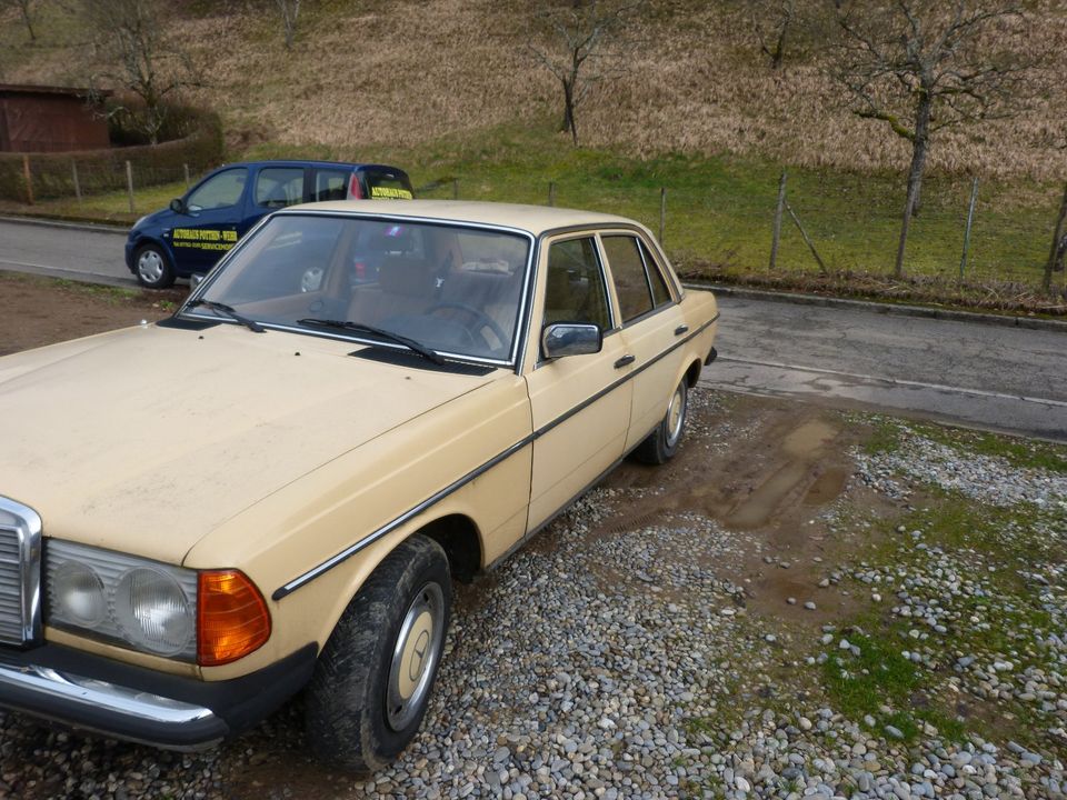 Mercedes Benz W123 200 in Wehr