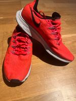 Nike Sportschuhe, Laufschuhe 42,5 (US 9) Hessen - Hünstetten Vorschau