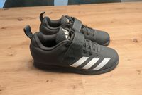 Adidas Powerlift 4 Gewichtheber Fitness Schuhe Grau Größe 42 2/3 Köln - Immendorf Vorschau