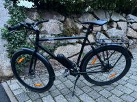 EBike Maki+ von Sushi Herren Baden-Württemberg - Leimen Vorschau