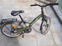 Pegasus Arcona Kinderrad Fahrrad  20 Zoll 3-Gang Hessen - Schöffengrund Vorschau