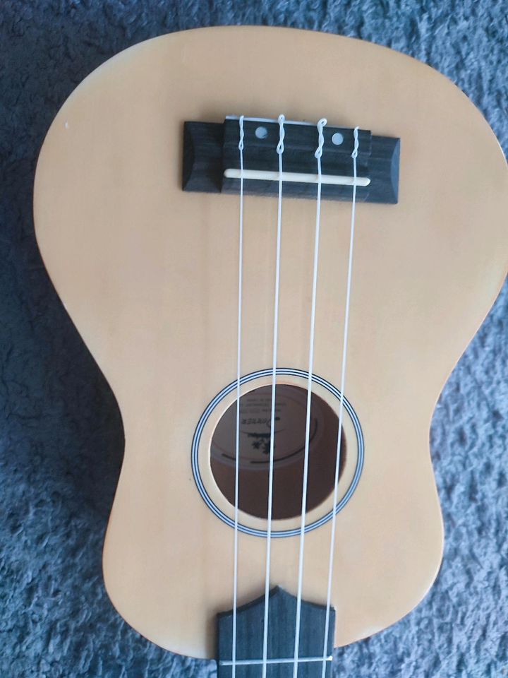 Ukulele von Donner mit Zubehör in Hamburg