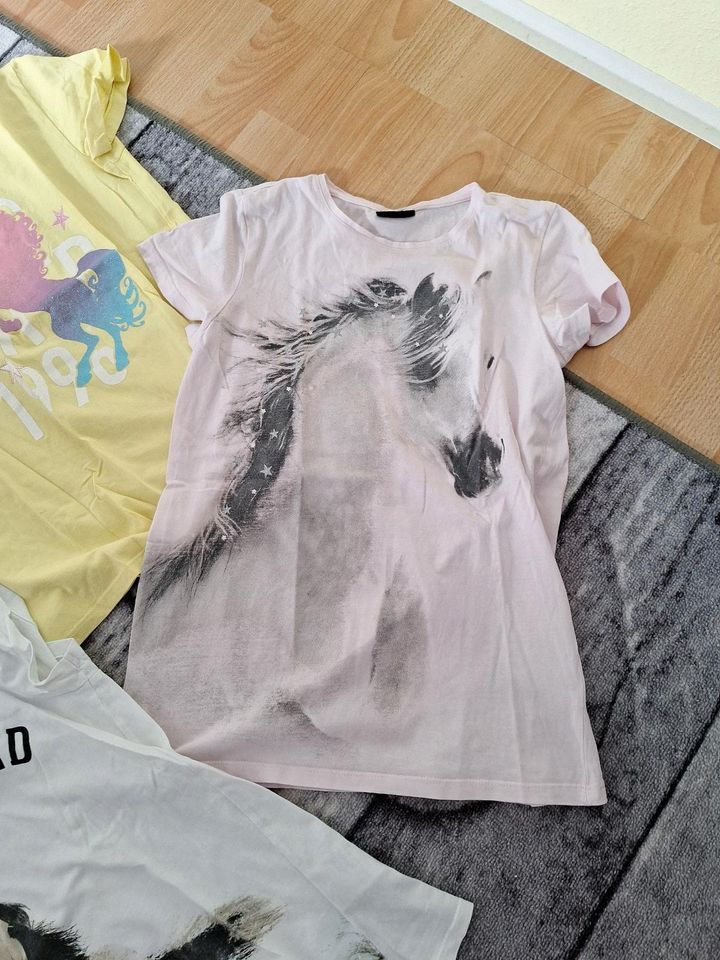 T- Shirts mit pferde und Einhorn in Klötze