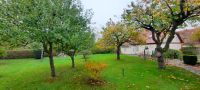 Gartenarbeit, Hecke, Rasen, Unkraut Mecklenburg-Vorpommern - Putgarten Vorschau