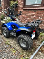 Quad E-TON Yukon ST.EXL 150 ATV 10 PS TOP Zustand! Yamaha Suzuki Wandsbek - Hamburg Bramfeld Vorschau