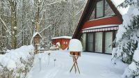 Ferienhaus am Wald Weihnachten 2024 Dortmund - Innenstadt-West Vorschau