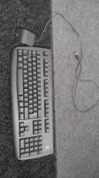 Logitech Tastatur schwarz mit Bluetooth Duisburg - Walsum Vorschau