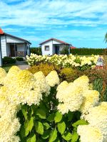 Ferienhaus Bungalow Ostsee Polen Urlaub Ferien Strand Meer Hessen - Neu-Anspach Vorschau