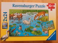 Ravensburger Puzzle 2*24 Teile ab 4 Jahren Bayern - Erlangen Vorschau