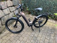 Victoria E-Bike  eAdventure 12,8 Nordrhein-Westfalen - Bad Berleburg Vorschau