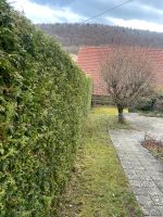 Gärtner hat noch Freie Termine - Heckenschnitt, baumschnitt uvm. Baden-Württemberg - Balingen Vorschau
