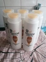 Pantene Pro V Repair Sachsen - Chemnitz Vorschau