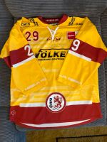 DEG Gameworn Jersey #29 Alexander Barta DEL Düsseldorfer EG Düsseldorf - Rath Vorschau