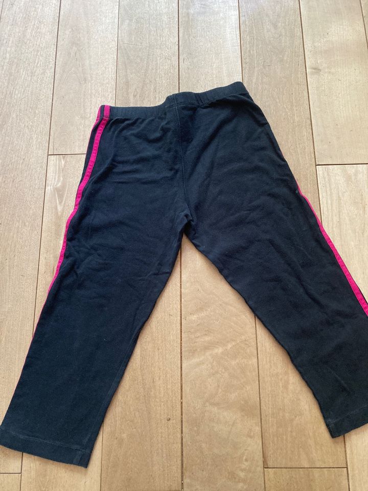 Adidas Sporthose bis übers Knie, 95%Cotton, in Grafrath