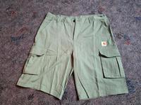 Carhartt Shorts /kurze Hose ***L*** Niedersachsen - Peine Vorschau