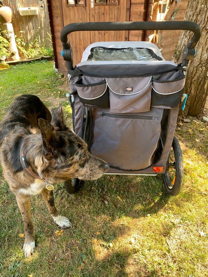 Hunde Fahrrad Anhänger Trixie in Schwalbach