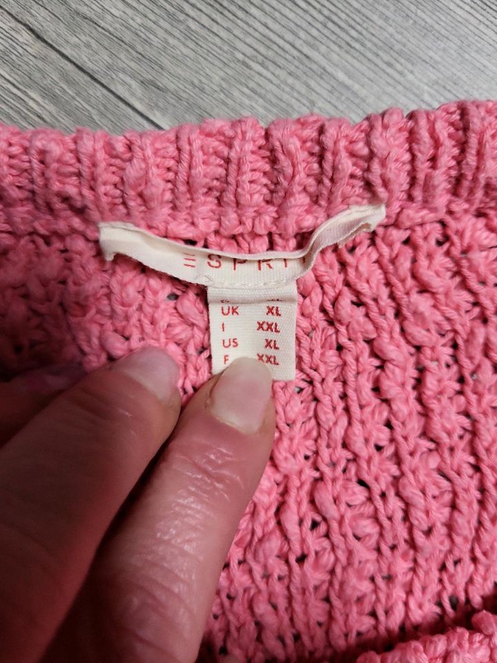 Esprit Strickpulli pink in Lengerich