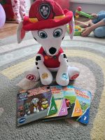 Lernspiel peppa und paw patrol Dortmund - Aplerbeck Vorschau