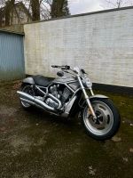 Harley Davidson V-ROD/Night Rod NRS Altona - Hamburg Iserbrook Vorschau