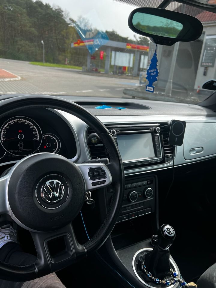 Volkswagen Käfer in Schwedt (Oder)