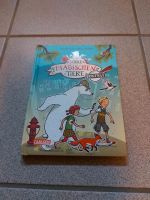 Die Schule der magischen Tiere Buch Hessen - Rodenbach Vorschau