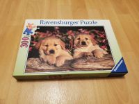 Ravensburger Puzzle 300 Teile: Hundewelpen 130559 Berlin - Köpenick Vorschau