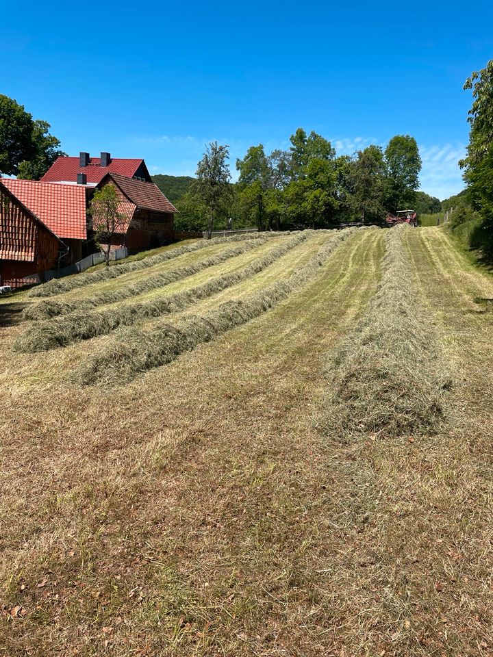 Bioheu, Heu, Heuballen, Rundballen 1,60m Pferdeheu erster Schnitt in Wüstheuterode