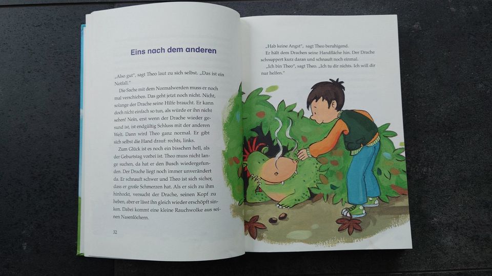 Buch: Das Vorlesebuch für Jungs Drache Pirat Ritterburg 4-6 J in Seevetal