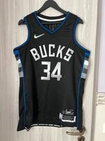Giannis Antetokounmpo MVP Jersey Nordrhein-Westfalen - Willich Vorschau