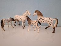 Schleich Pferde Knabstrupper Familie Fohlen saugend Essen - Rüttenscheid Vorschau