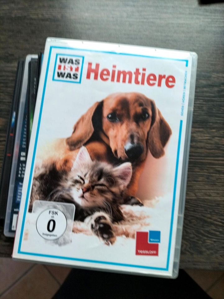 Verschiedene Kinder DVD je 3 Euro in Quellendorf