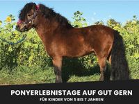Ponyerlebnistag Ponyreiten Ferienprogramm Hippolinireiten Reiten Bayern - Wasserburg am Inn Vorschau