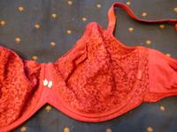 ESPRIT BH 85G rot, NP 79,90€ Schleswig-Holstein - Henstedt-Ulzburg Vorschau