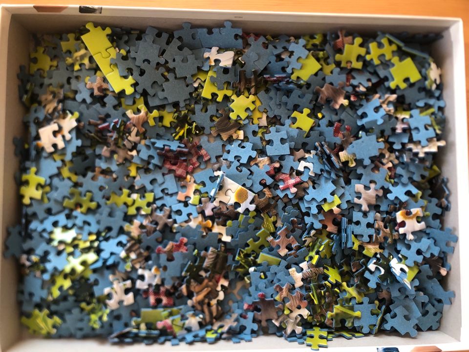 Puzzle 1000 Katzen in Heidenau