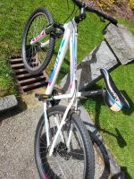 Mountainbike stuf sehr gut erhalten Kr. Passau - Passau Vorschau