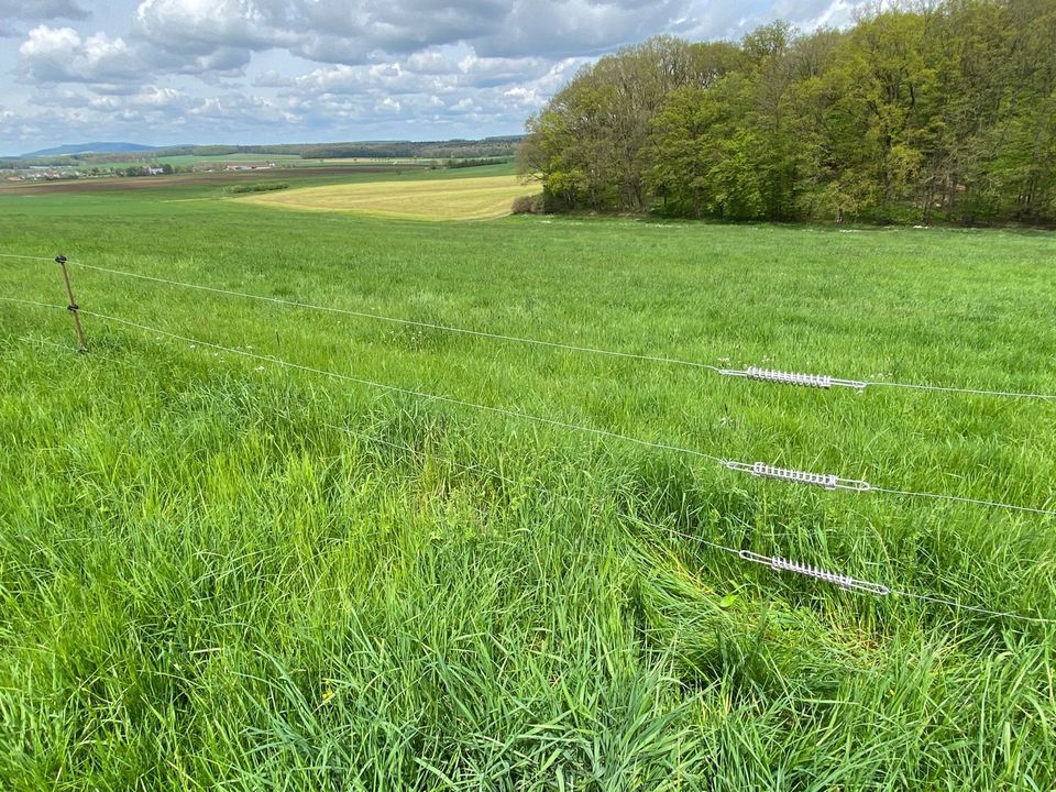 Weidezaun mit Stahldraht in Westheim